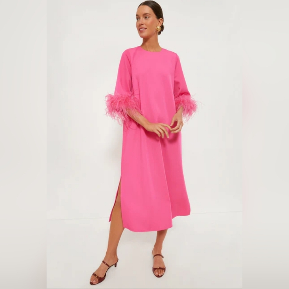 Tuckernuck Pink Feather Sleeve Dress